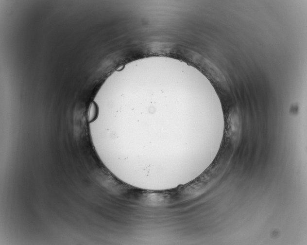 X0000103410522200810031249