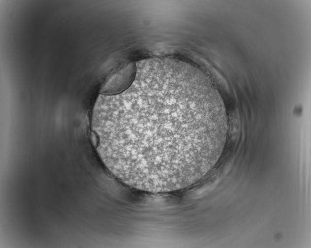 X0000103410523200810031249