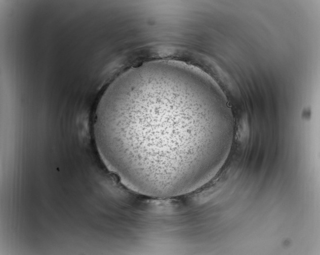 X0000103410524200810031249