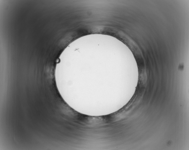 X0000103410525200810031249