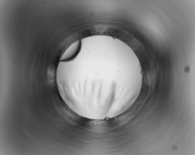 X0000103410526200810031249