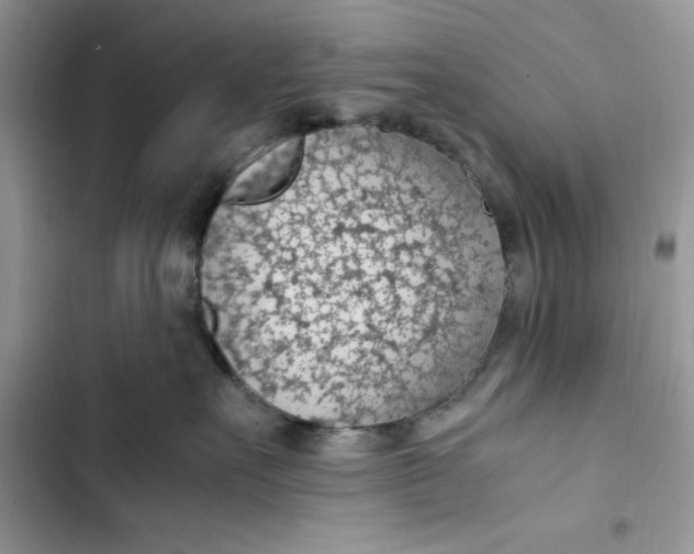 X0000103410527200810031249