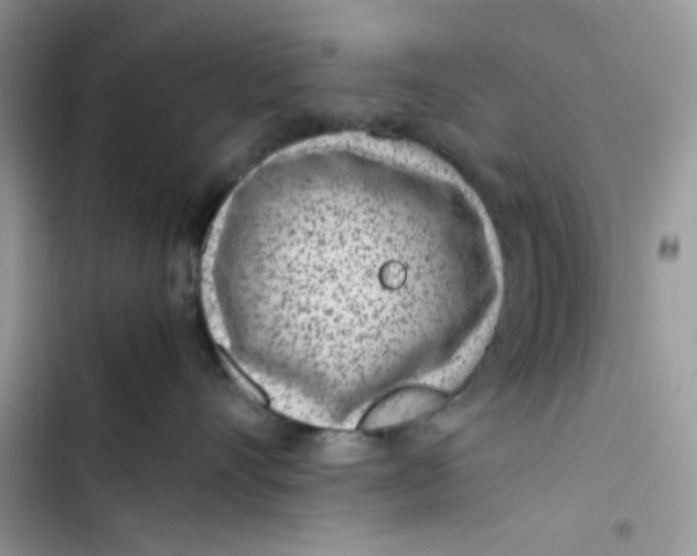 X0000103410528200810031249