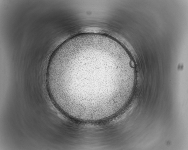 X0000103410529200810031248