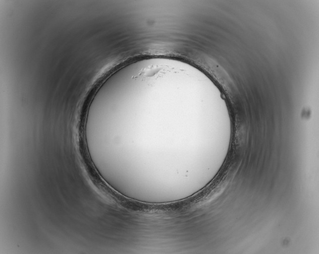 X0000103410530200810031248