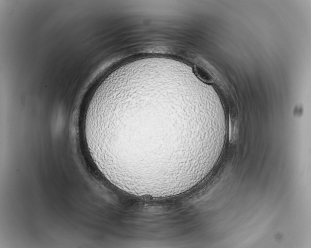 X0000103410531200810031248