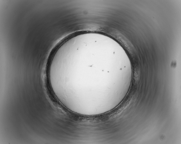 X0000103410532200810031248