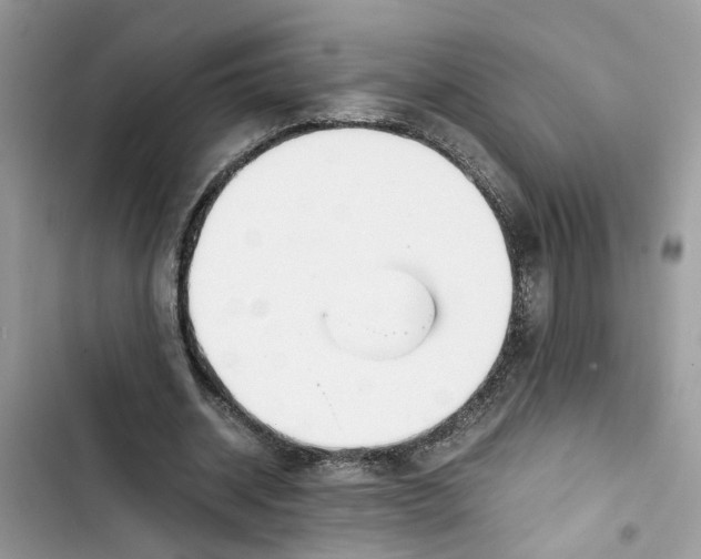 X0000103410534200810031248