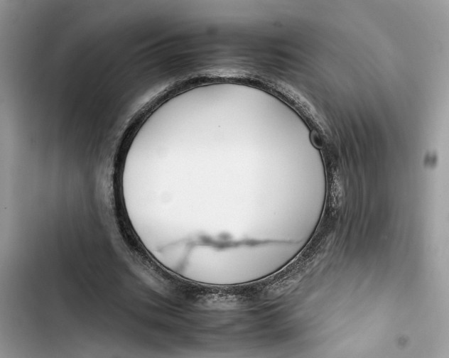 X0000103410535200810031248