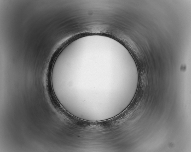 X0000103410536200810031248