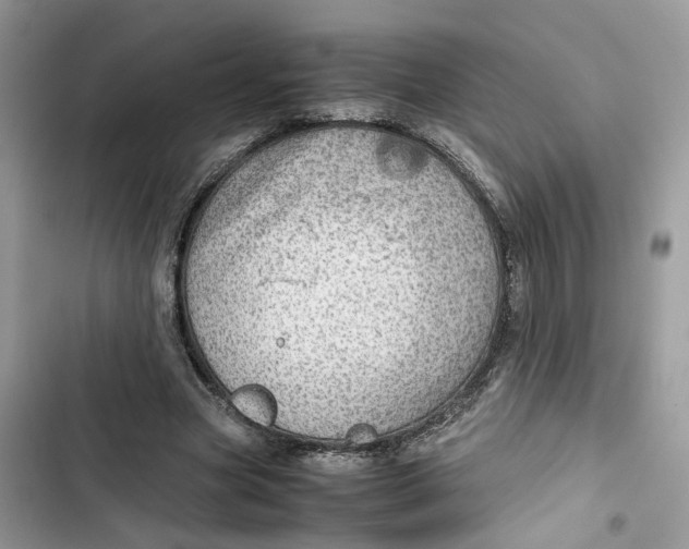 X0000103410537200810031248