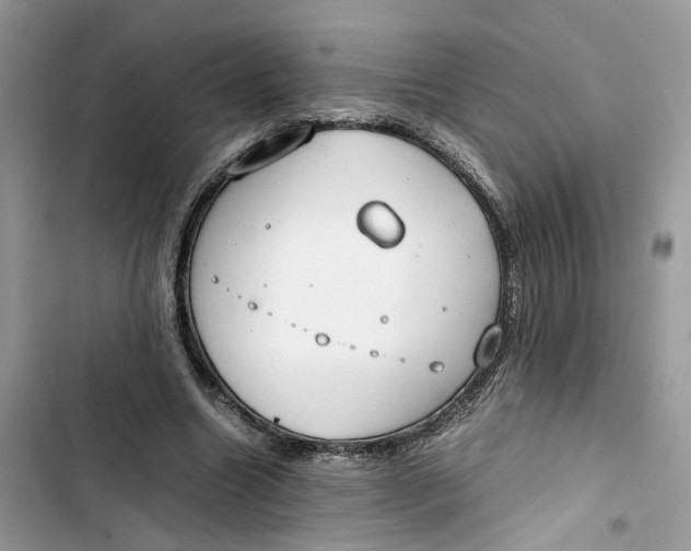 X0000103410538200810031248