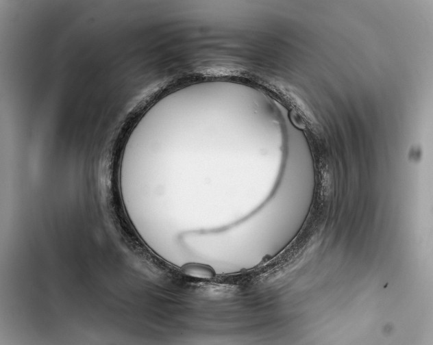 X0000103410539200810031248