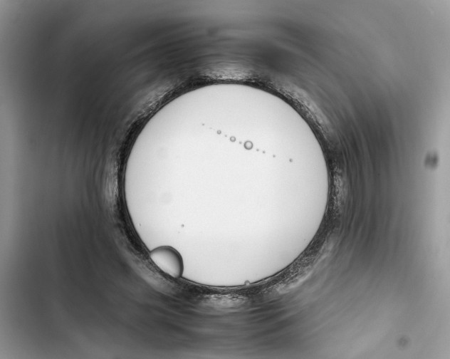 X0000103410541200810031248