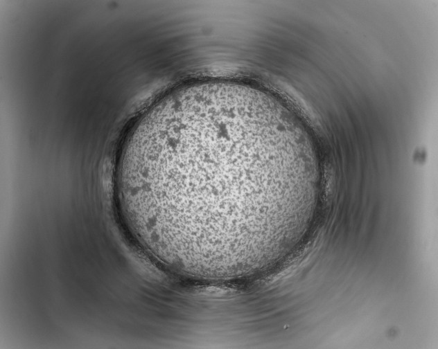 X0000103410542200810031248