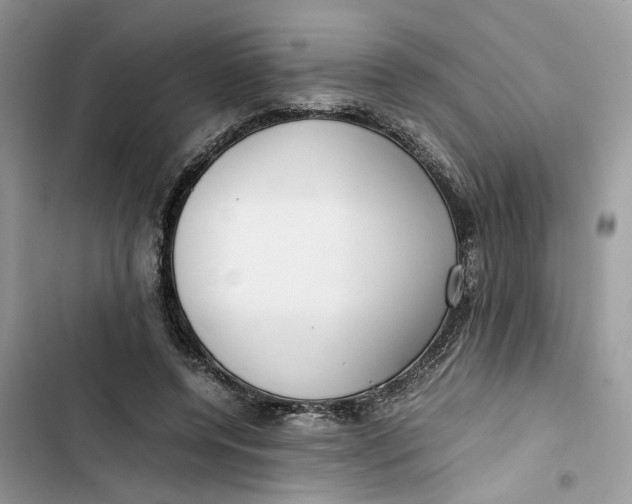 X0000103410544200810031248