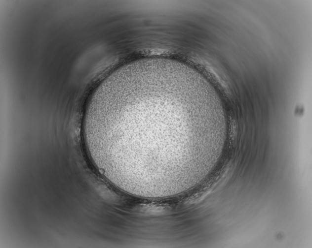 X0000103410545200810031248