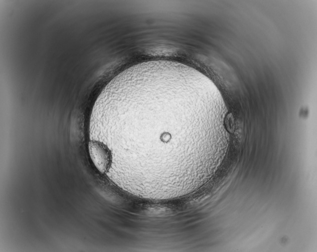 X0000103410547200810031248