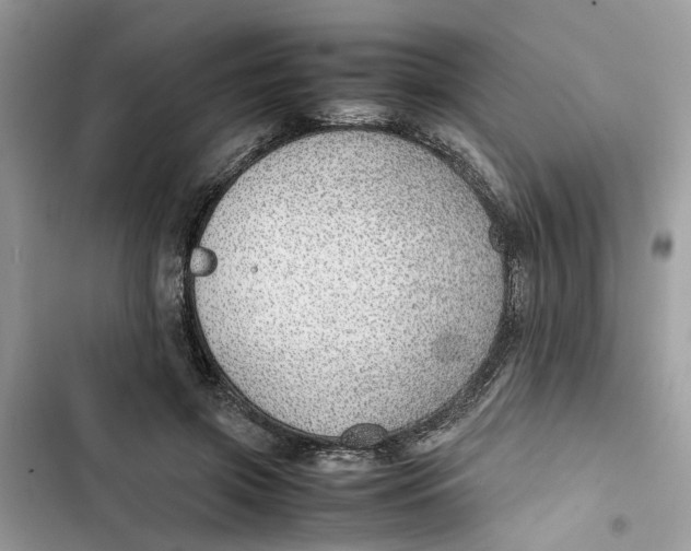 X0000103410549200810031248