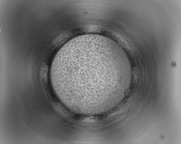 X0000103410550200810031248