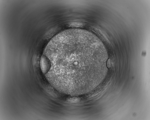 X0000103410551200810031248