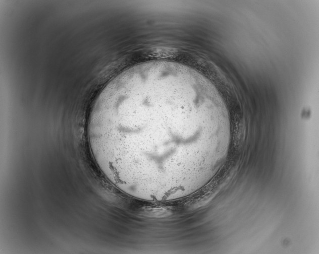 X0000103410553200810031248