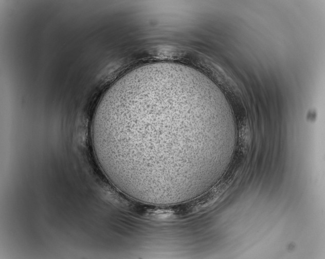 X0000103410554200810031248