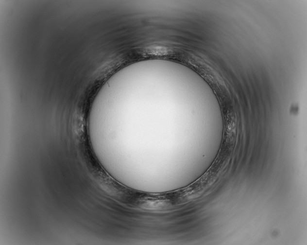 X0000103410555200810031248