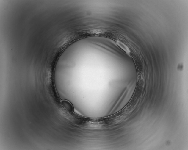 X0000103410556200810031248