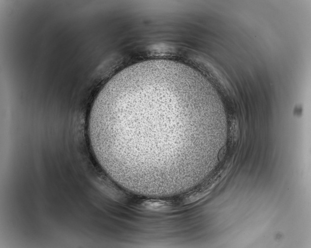 X0000103410557200810031248