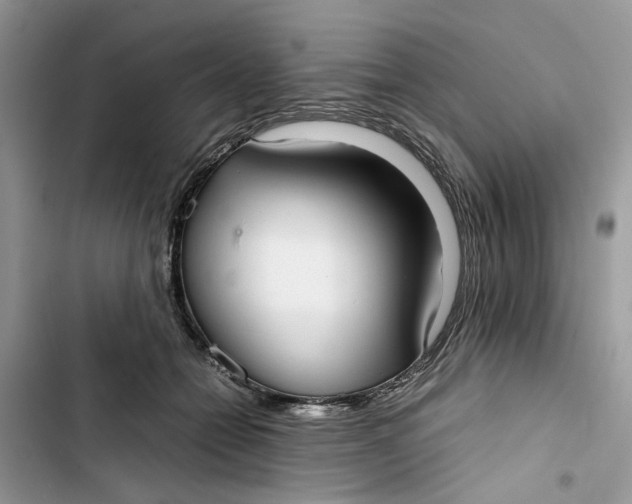 X0000103410558200810031249