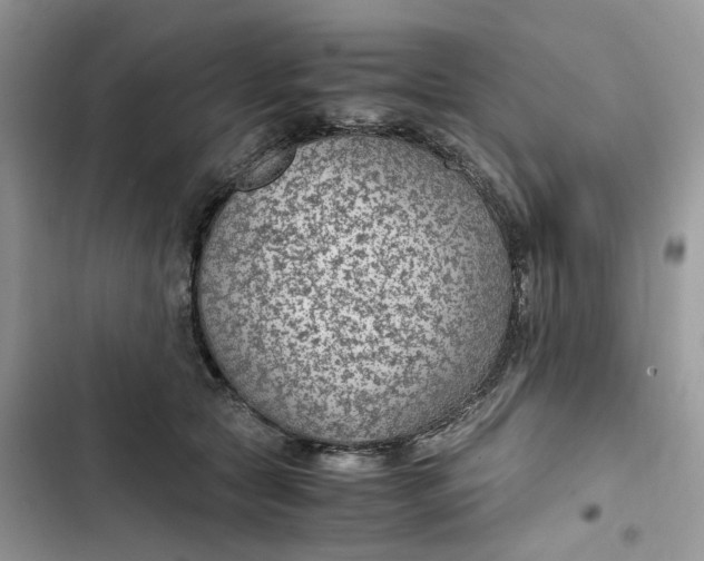 X0000103410561200810031249