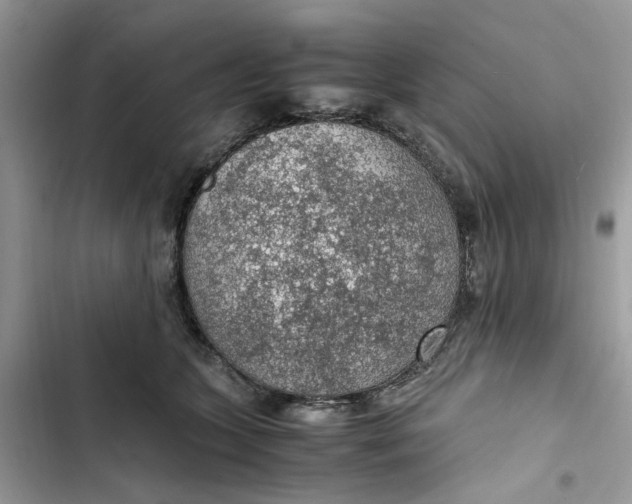 X0000103410563200810031249