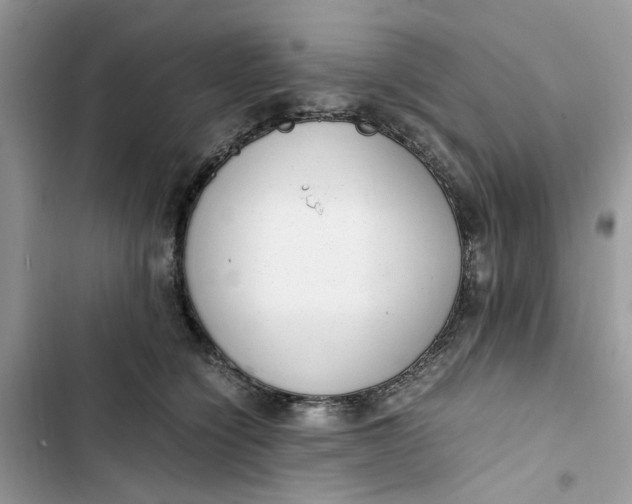 X0000103410564200810031249