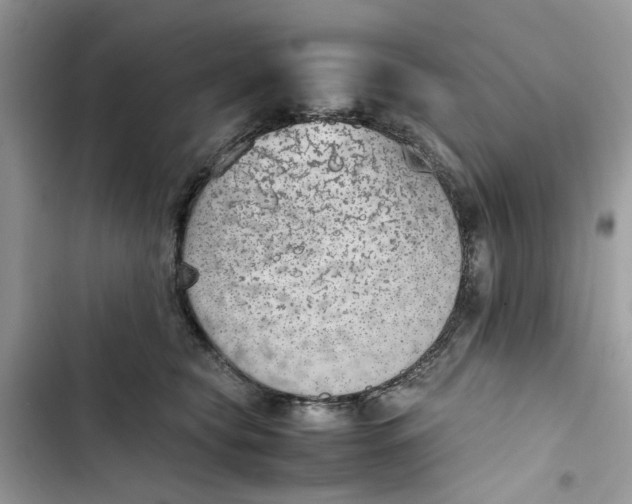 X0000103410565200810031249