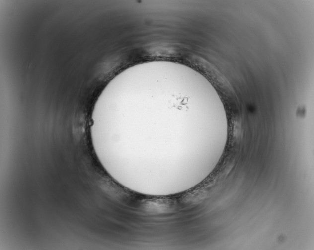 X0000103410567200810031249