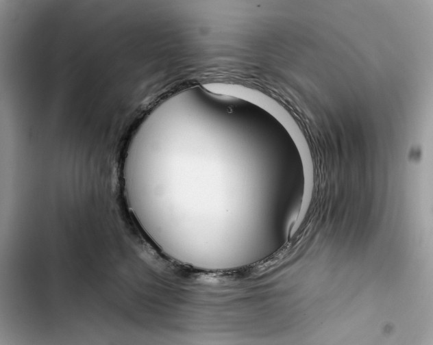 X0000103410568200810031249