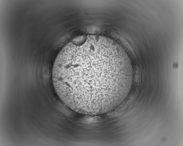 X0000103410569200810031249