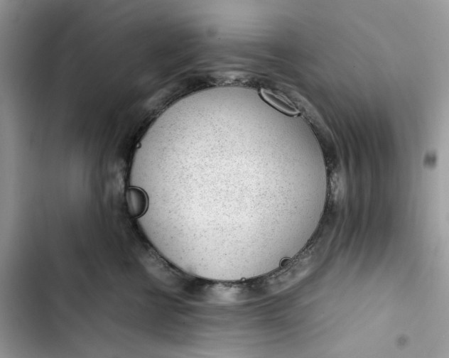 X0000103410570200810031249