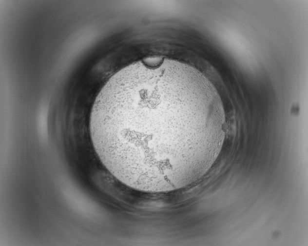 X0000103410573200810031249