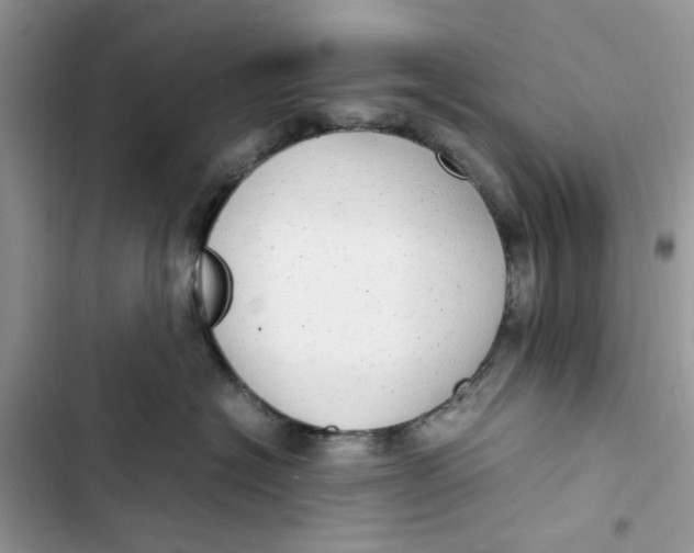 X0000103410574200810031249