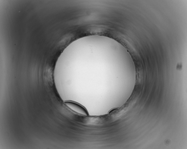 X0000103410575200810031249