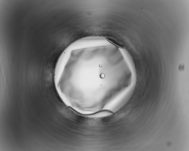 X0000103410576200810031249