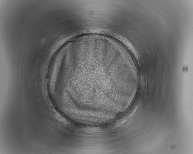 X0000103410577200810031248