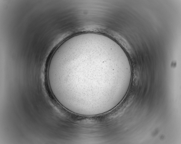 X0000103410578200810031248