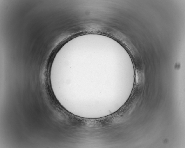 X0000103410579200810031248