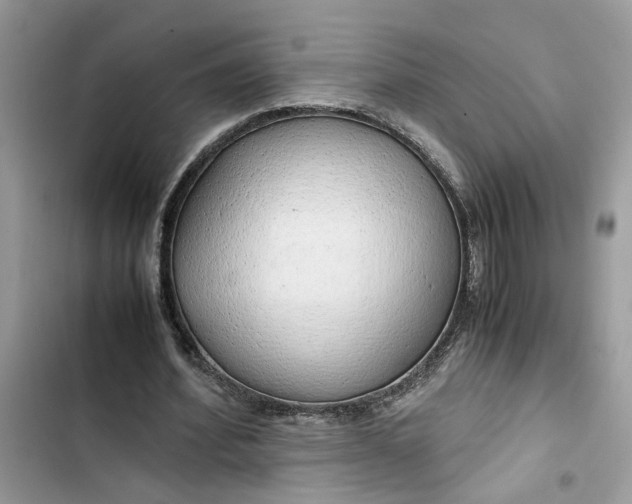 X0000103410580200810031248