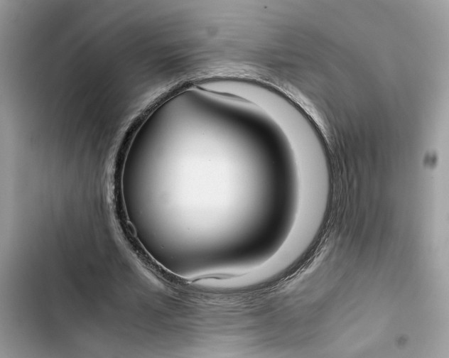 X0000103410581200810031248