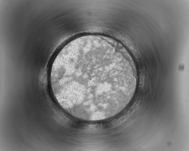 X0000103410584200810031248