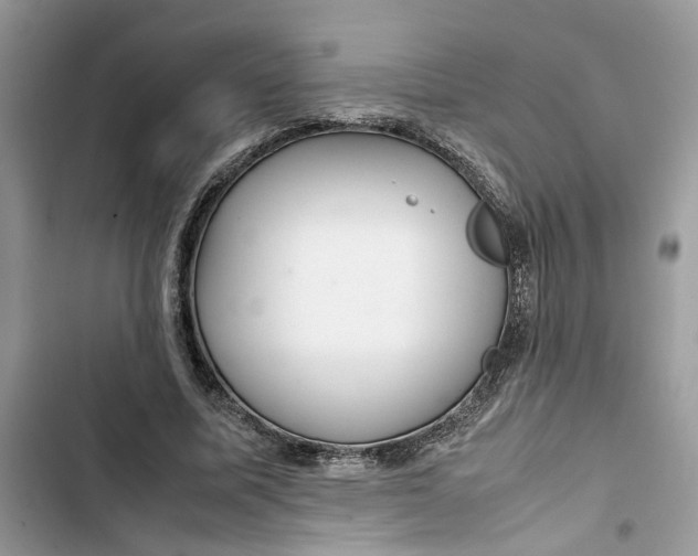 X0000103410587200810031248